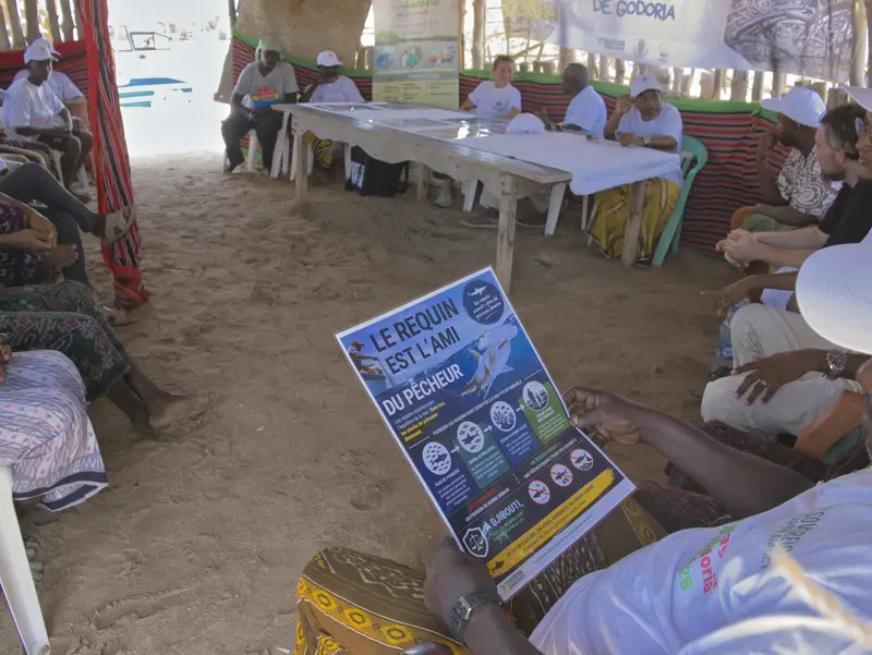 Participants assis autour d’une affiche de sensibilisation.