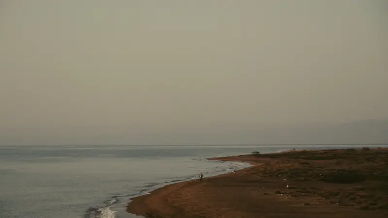 Rivage dans une lumière brumeuse.